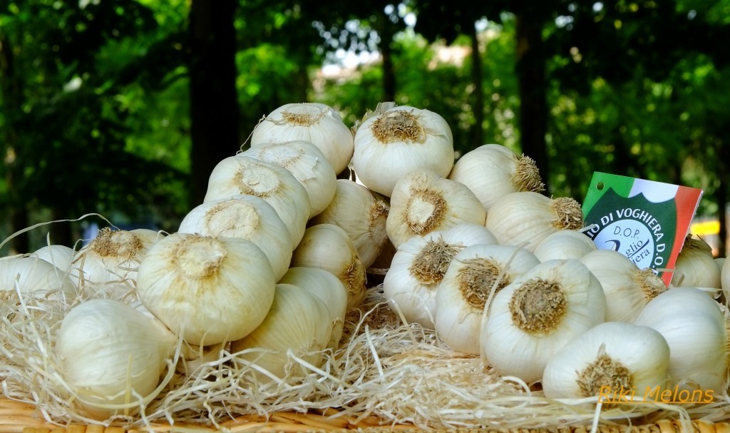 Aglio Nero Piacentino